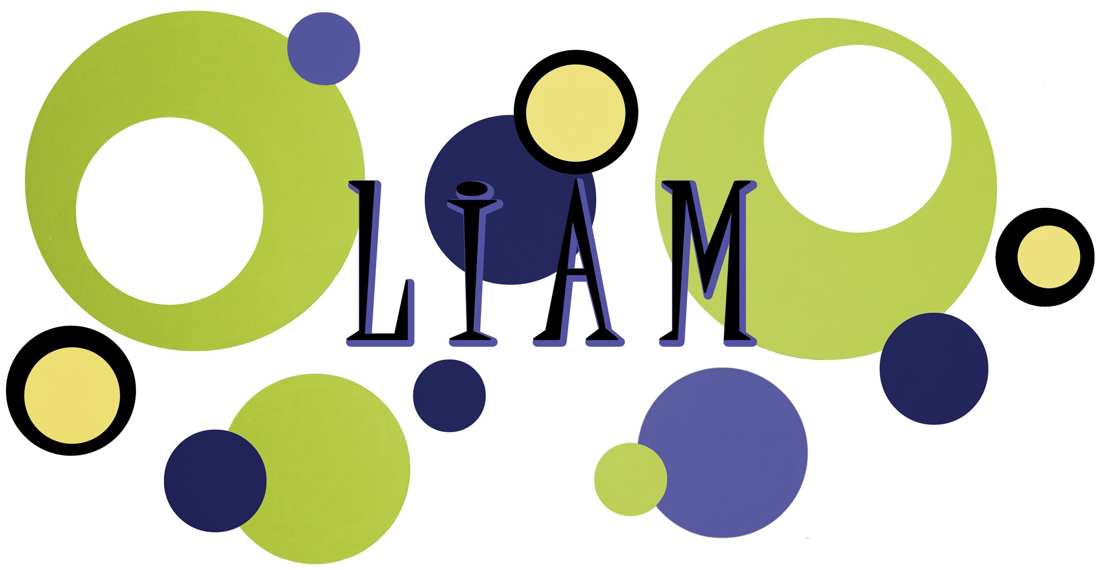 Wall Wear Decals WW-140-BN Liam Name Decal