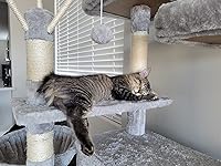 Review Image by Domino Domino