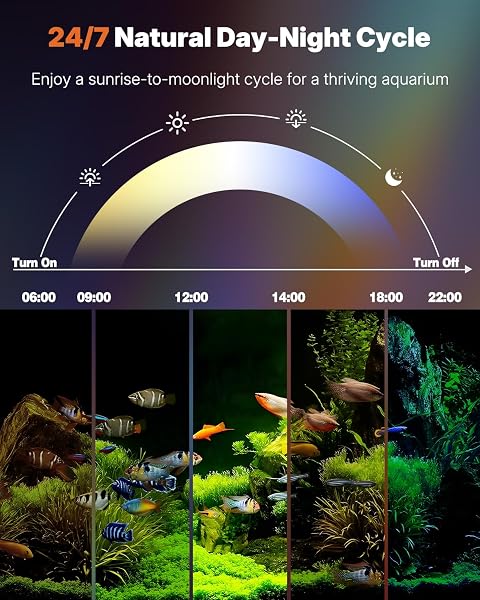 Pawfly 20 cm Luz LED Acuario 24/7 Luz para Pecera con Espectro Completo Blanco Brillante Azul Rojo Verde Luces LED Multicolores con Modo D/N Efectos de Color Único Temporizador y Brillo Ajustable - 2