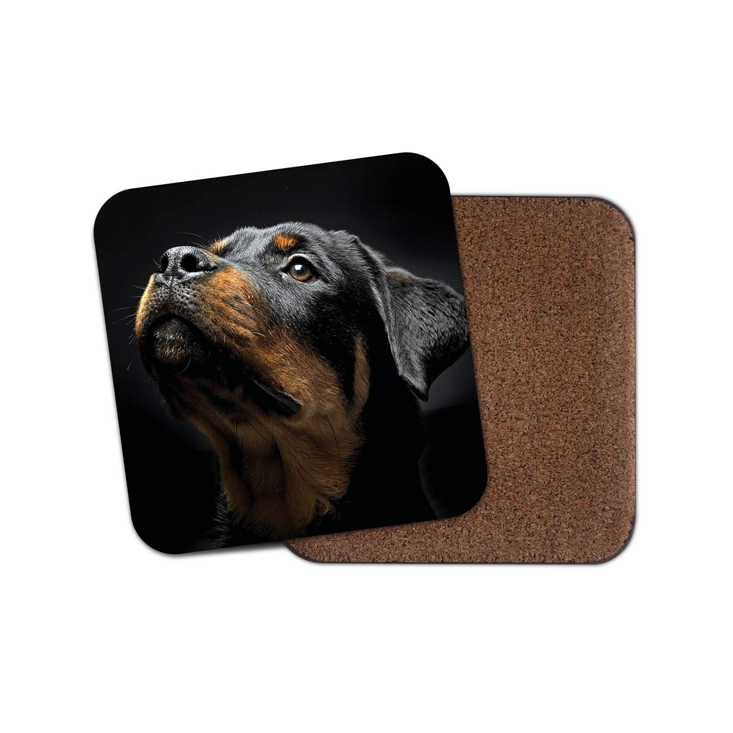 Destinationvinyl Multicolor 1 X Beautiful Rottweiler Drinks Coaster - Dog Puppy Rottie Puppies Fun #8616