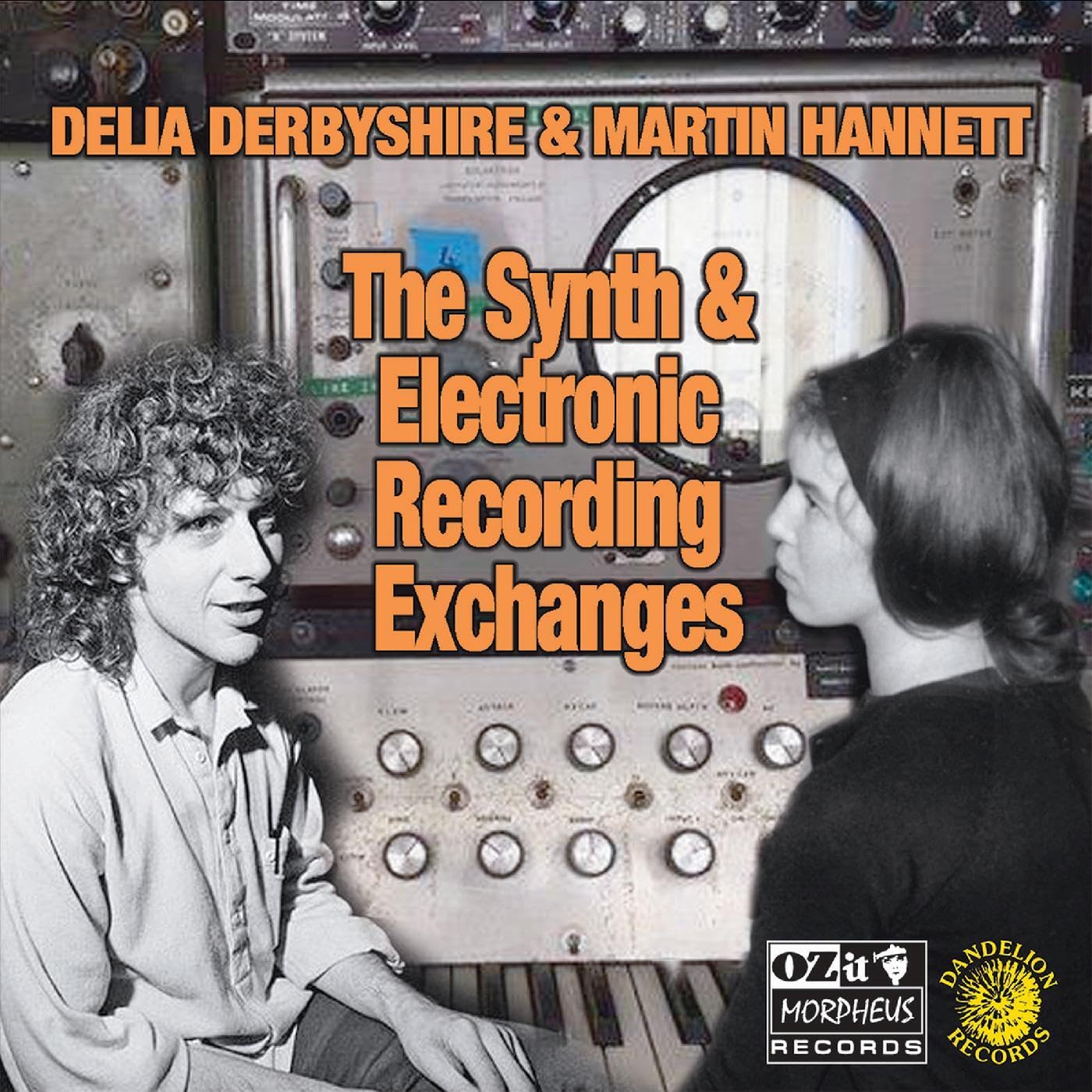 The Synth And Electronic Recording Exchanges [VINYL]