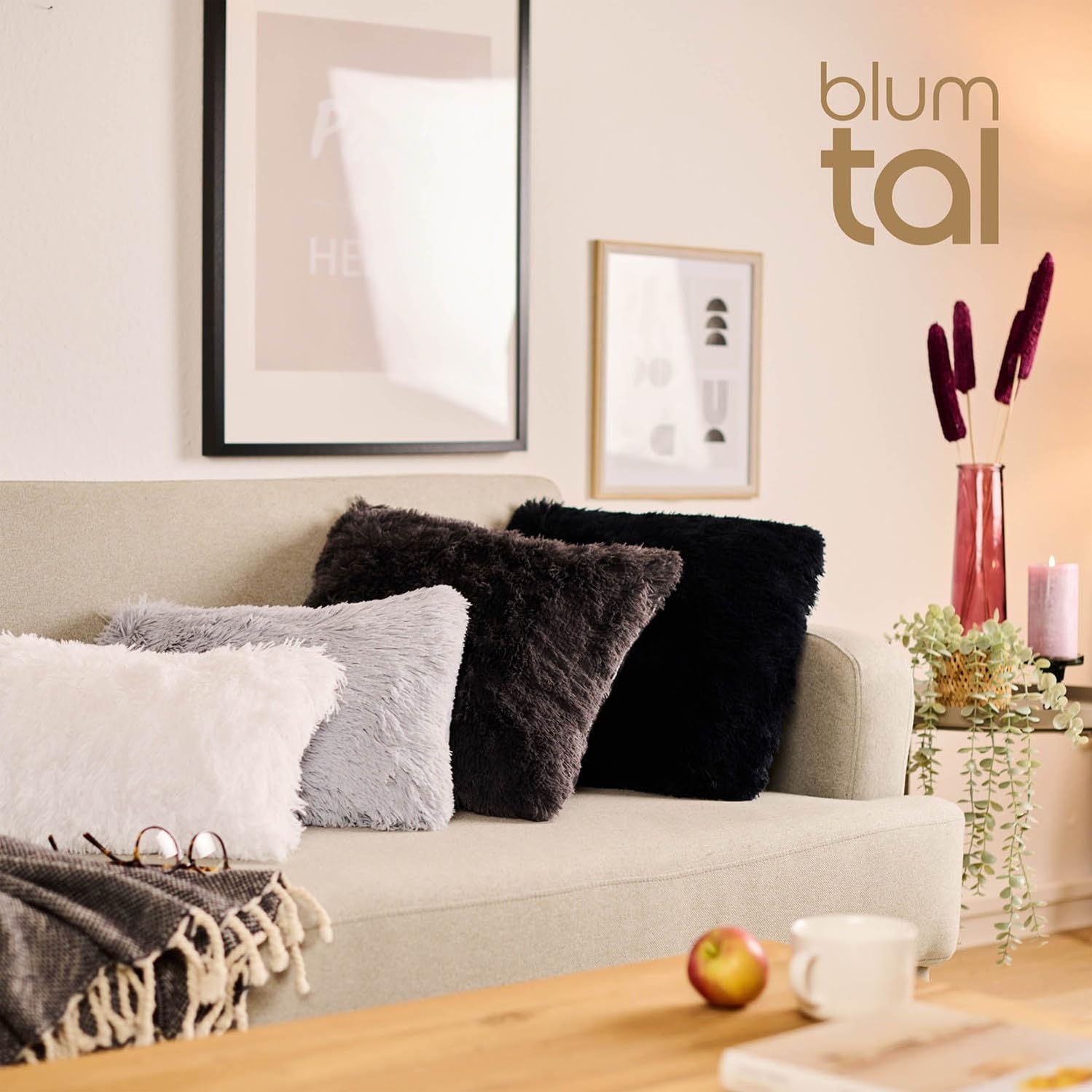 Blumtal Federa Cuscino Pelosa, 2 Pezzi, Copri Cuscino Peloso, Federa Peluche, 45 x 45cm