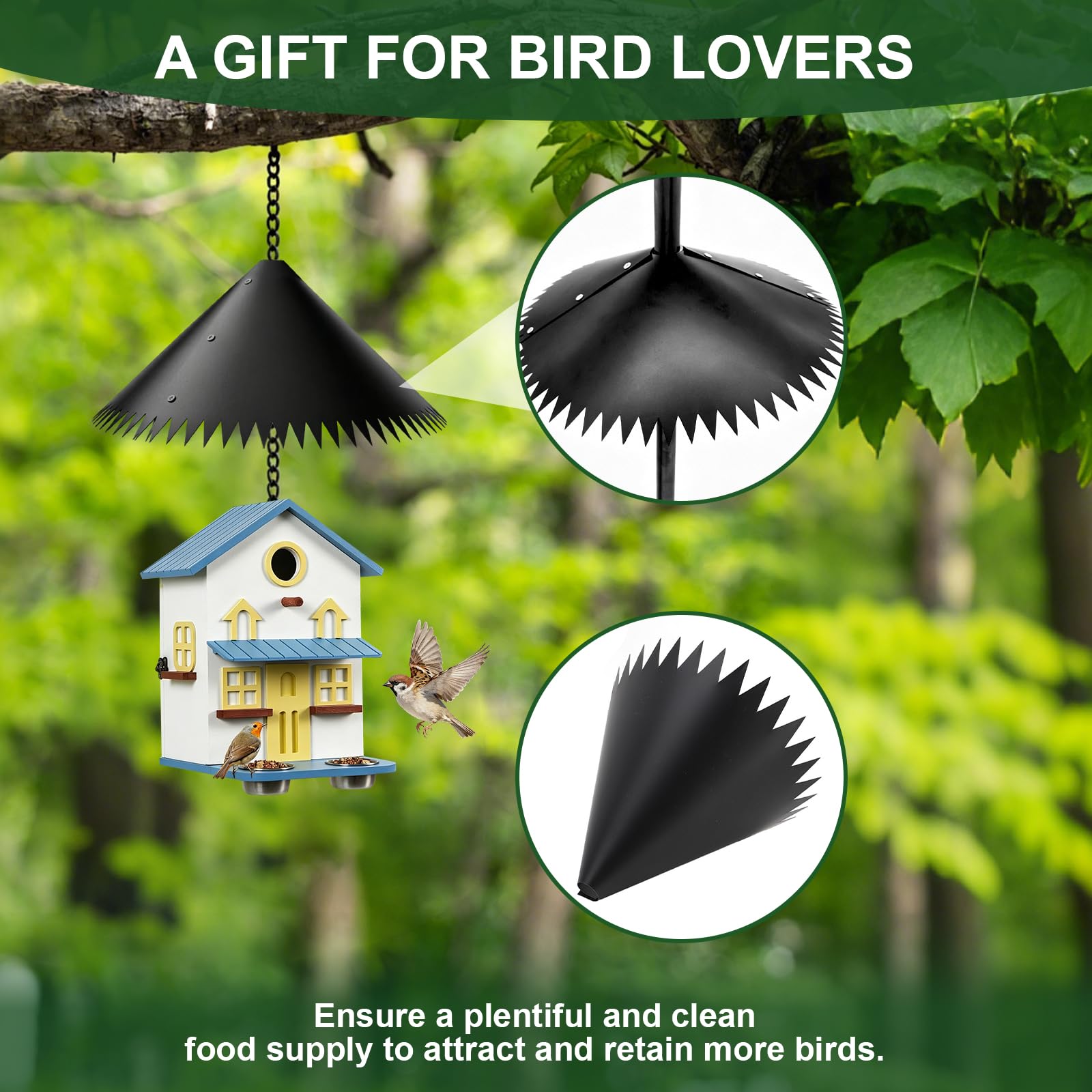 View 5