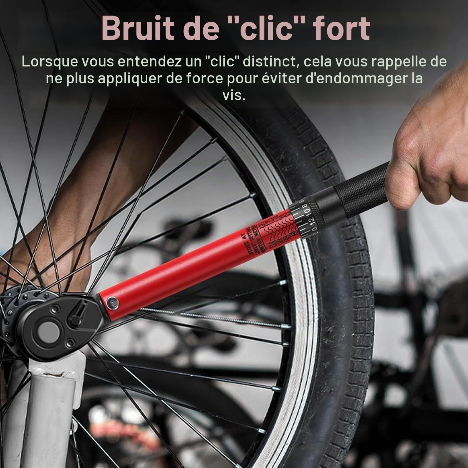 33 Pièces Set de Clés Dynamométriques - 72 Dents, Acier Cr-V, avec Clés 1/2" & 3/8" & 1/4" : 20-230 Nm, 10-140 Nm, 2-24 Nm - Adaptateurs, Douilles, Rallonges - pour Auto, Moto, Vélo, Camion
