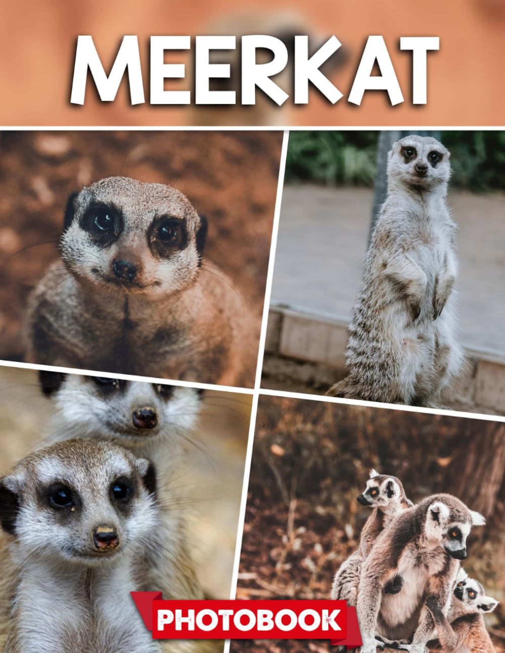 Meerkat Photo Book: Picture Collection For Adults With Dementia And Alzheimer’s Patients – Adorable Meerkat Images Capturing Playful And Curious Moments