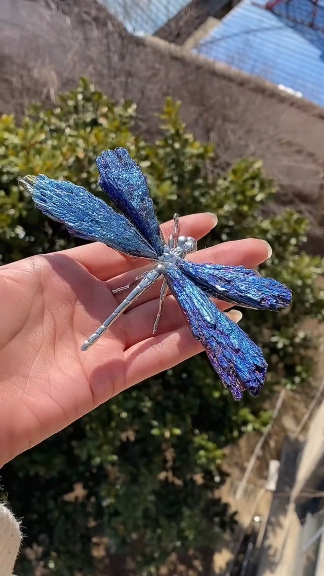 Amazon.com: RJINGSHI Dragonfly Decor Statue Natural Electroplated