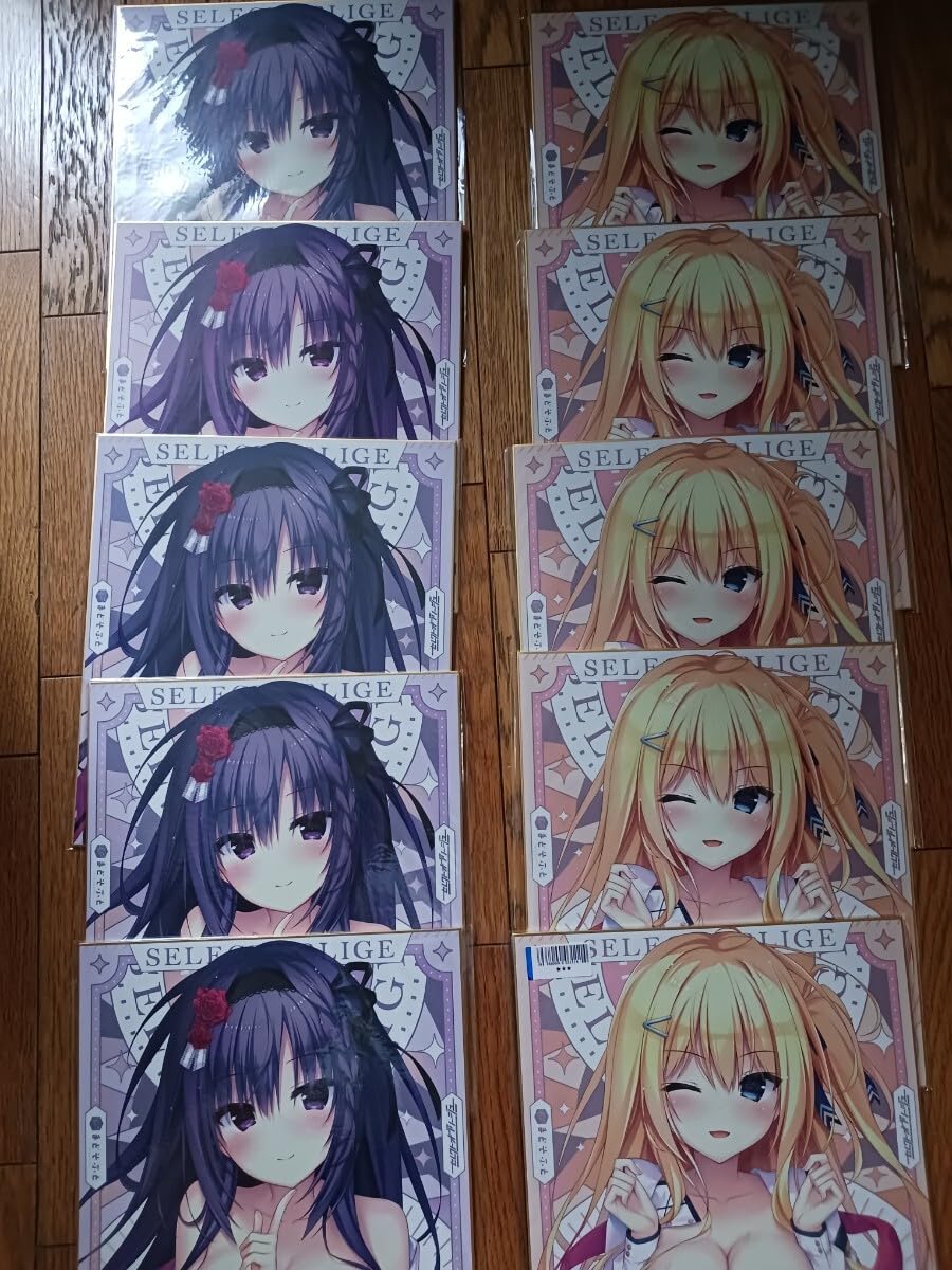 Amazon.co.jp: セレクトオブリージュ予約特典色紙 10枚セット : 文房具 