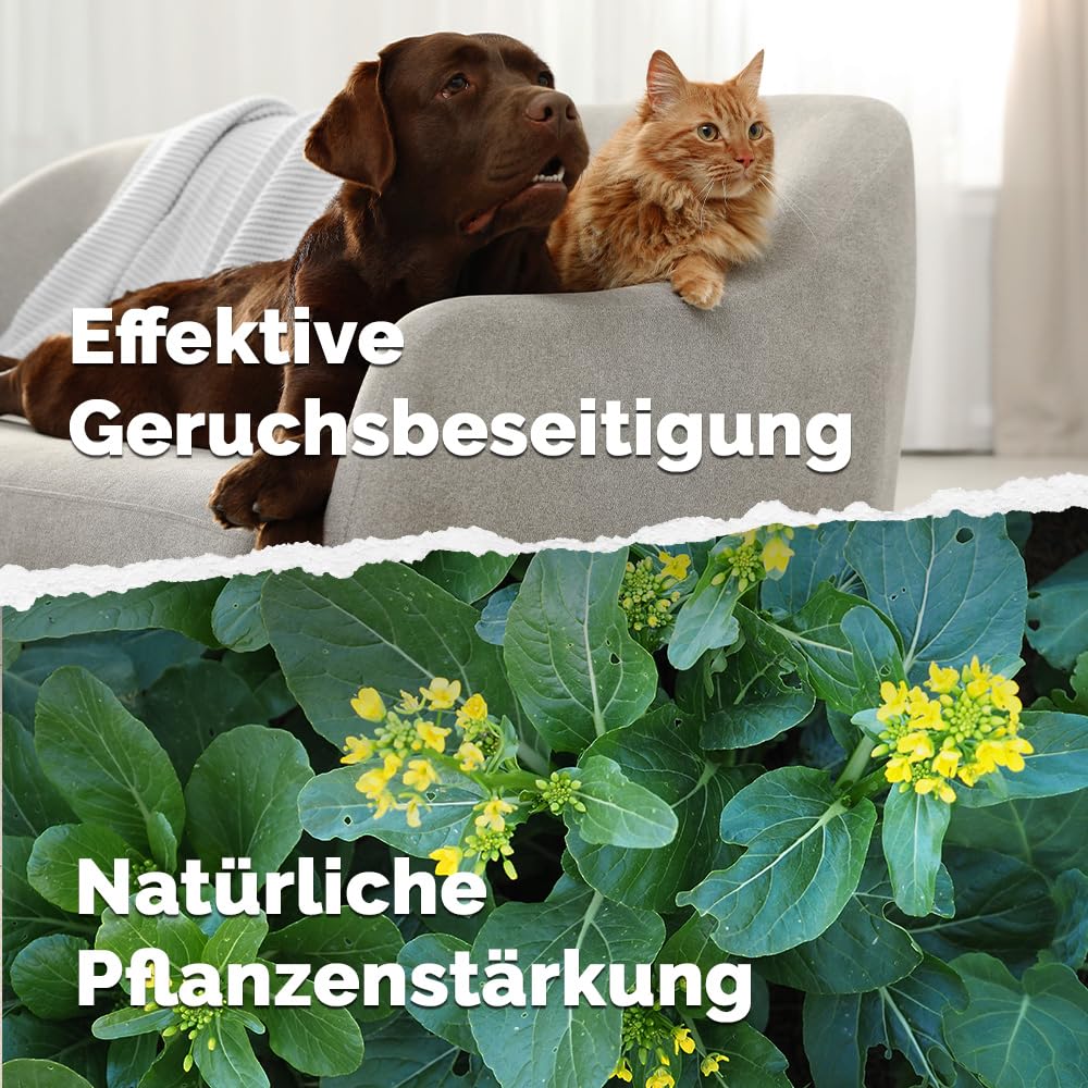 DIMIKRO® Microorganismes efficaces actifs universels Blond – EMa – EM actif – Prêt à l'emploi pour la maison et le jardin – 100 % végétalien et naturel (bidon de 5 litres)