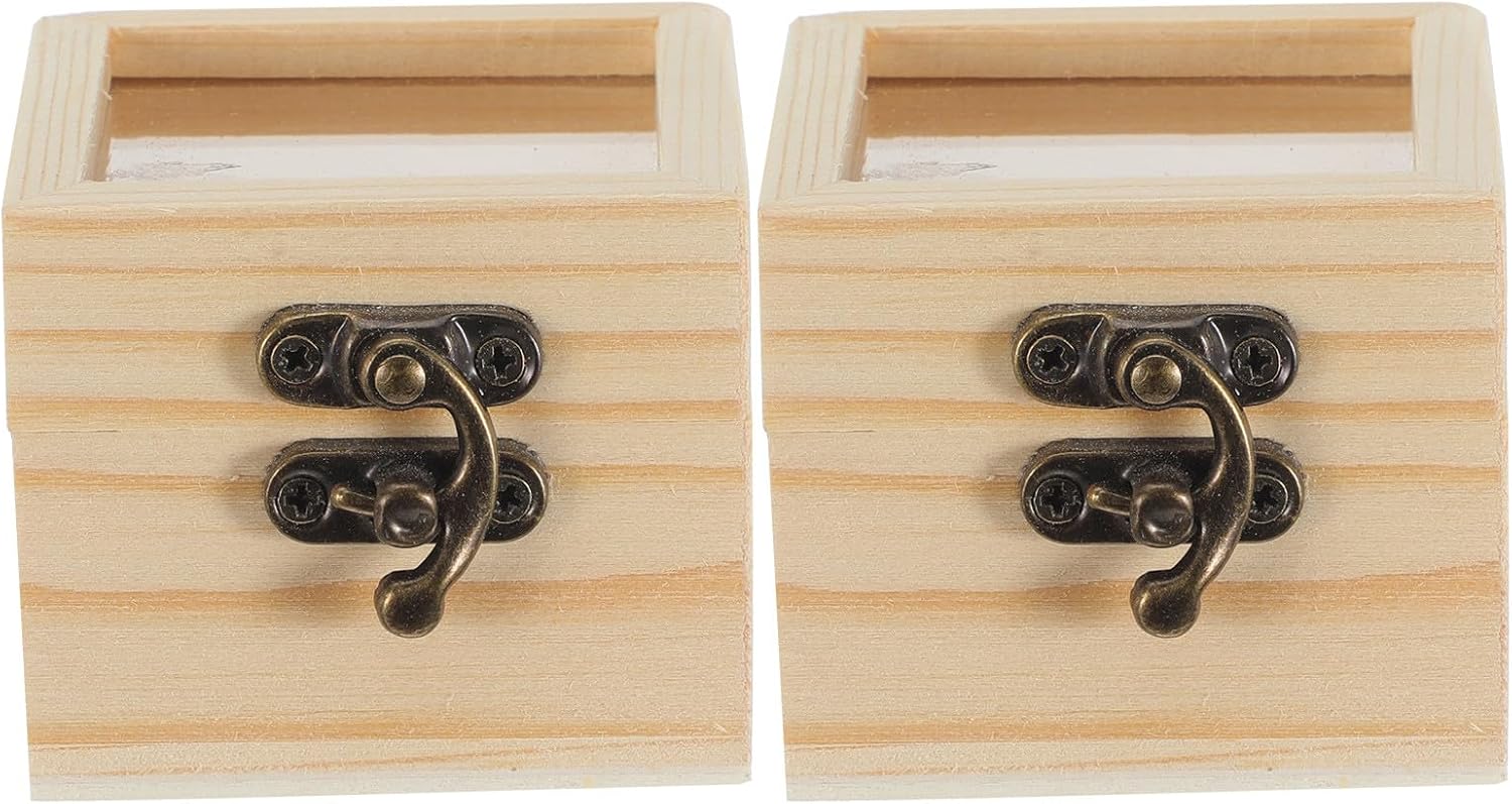 2PCS Insect Display Case: Wooden Insect Specimen Storage Box with with Clear Top - Frame for Bug Butterfly Specimen Collection - Wooden Storage Box for DIY Jewelry