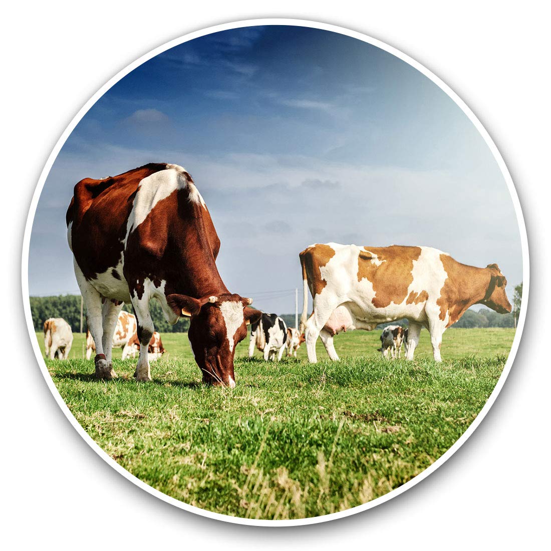 Destination Vinyl Ltd Dairy Cows Animals Farmer Farm 8589 Vinyl Stickers (Set Of 2) 15Cm - Dairy Cows Animals Farmer Farm Laptop Tablet Luggage Scrapbook #8589