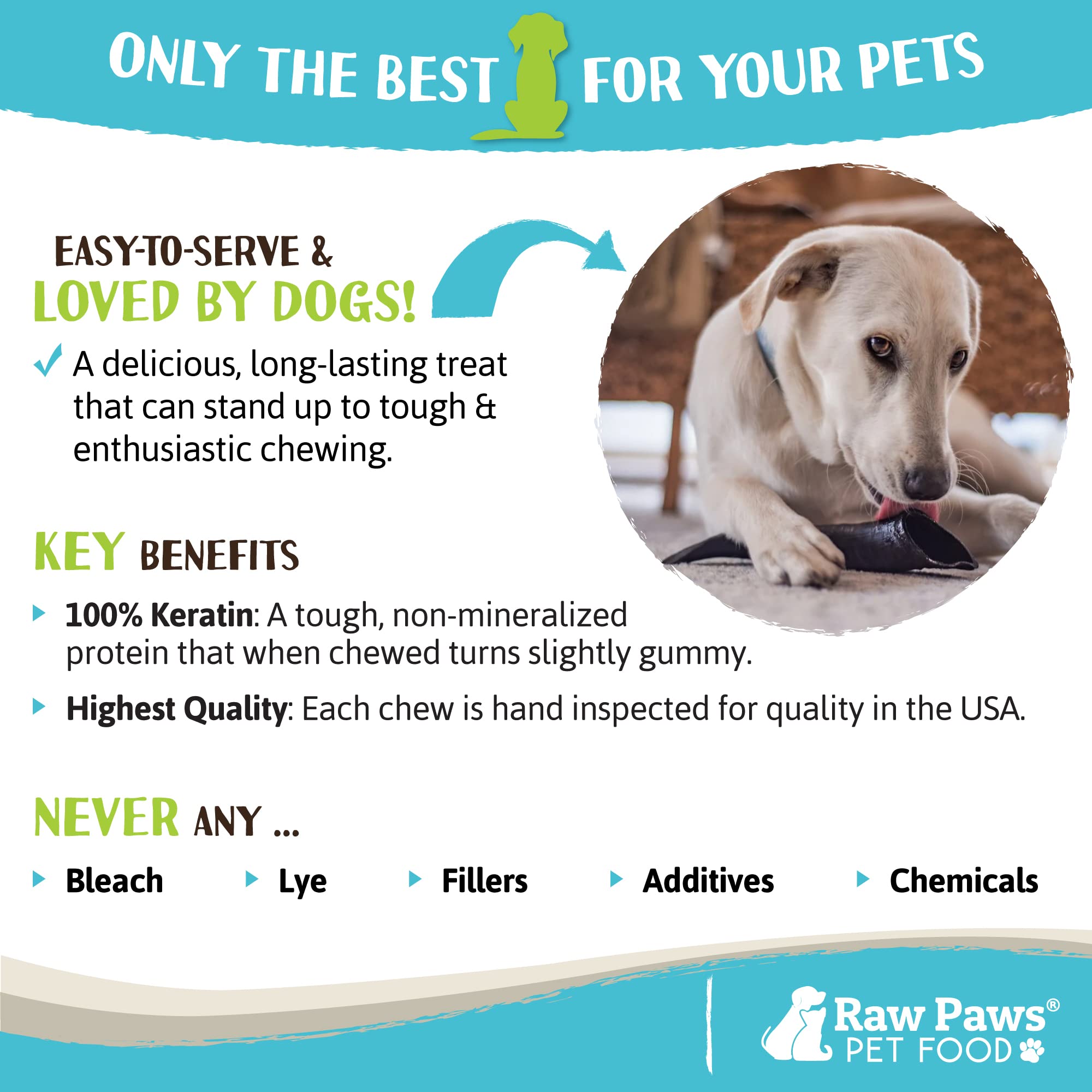 Are Lamb Horns Safe For Dogs