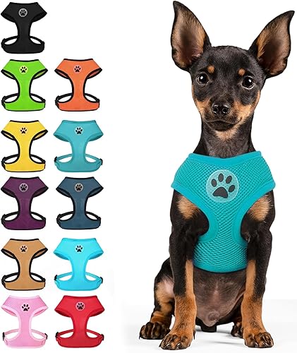 BINGPET Arnés para perro sin tirones, arnés de chaleco tipo step-in de malla para todo clima para perros pequeños, arnés de malla transpirable para