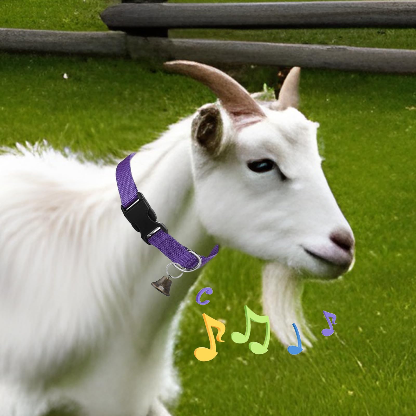 Collier pour Chèvres De Concours | Collier Réglable pour Moutons - Cloche Sonore Antiperte pour Pâturage – Accessoires d'Élevage pour Moutons, Vaches et Chèvres Domestiques