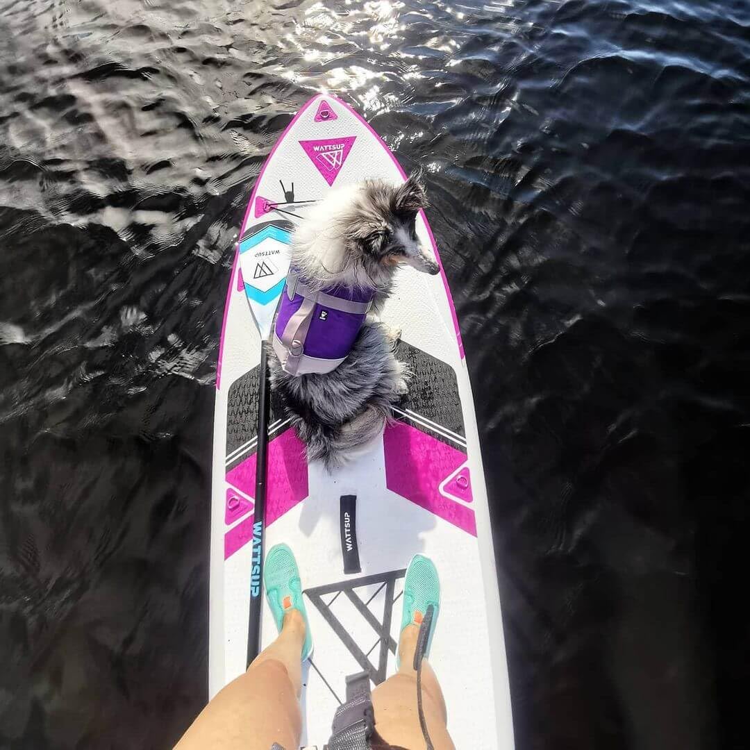 SUP WattSup Tavola gonfiabile Stand Up Paddle Board | Tavola da surf per principianti ed esperti con accessori