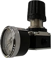 Vista 1 de MINI REGULADOR DE PRESIÓN PARA SISTEMAS DE AIRE COMPRIMIDO, PUERTOS NPT DE 1/4", AJUSTE DE 7 A 140 PSI