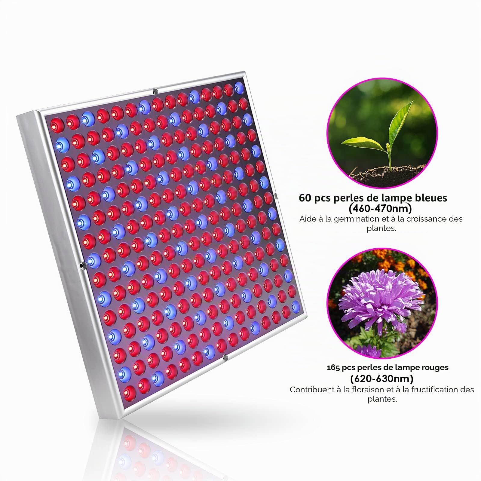 Lospitch 2pcs 45W Lampe Horticole LED Croissance Floraison, Lampe de Culture LED Grow Light Indoor 225LEDs Lumière Rouge et Bleue, LED de Croissance à Spectre Complet pour Plantes Ensemencant
