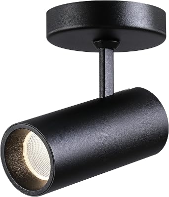 LED Dimmable Indoor Ceiling Spotlight, Hardwire Directional Fixture