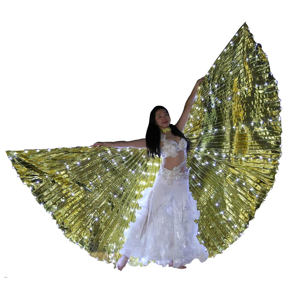 Adult Isis Wings LED Dance Performance Stage Practice Cosplay Props with Telescopic Sticks & Bag, 316pcs bulbs