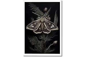 Enthralling Insect Symphony: Embrace Dark Academia in Your Abode