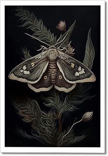 XMQQLL Dark Academia Insect Moth Poster for Room Goblincore Vintage Butterfly Canvas Wall Art Botanical Floral Oil Print Painting Gothic Cottagecore Fairytale Wall Decor for Bedroom 12x16in Unframed