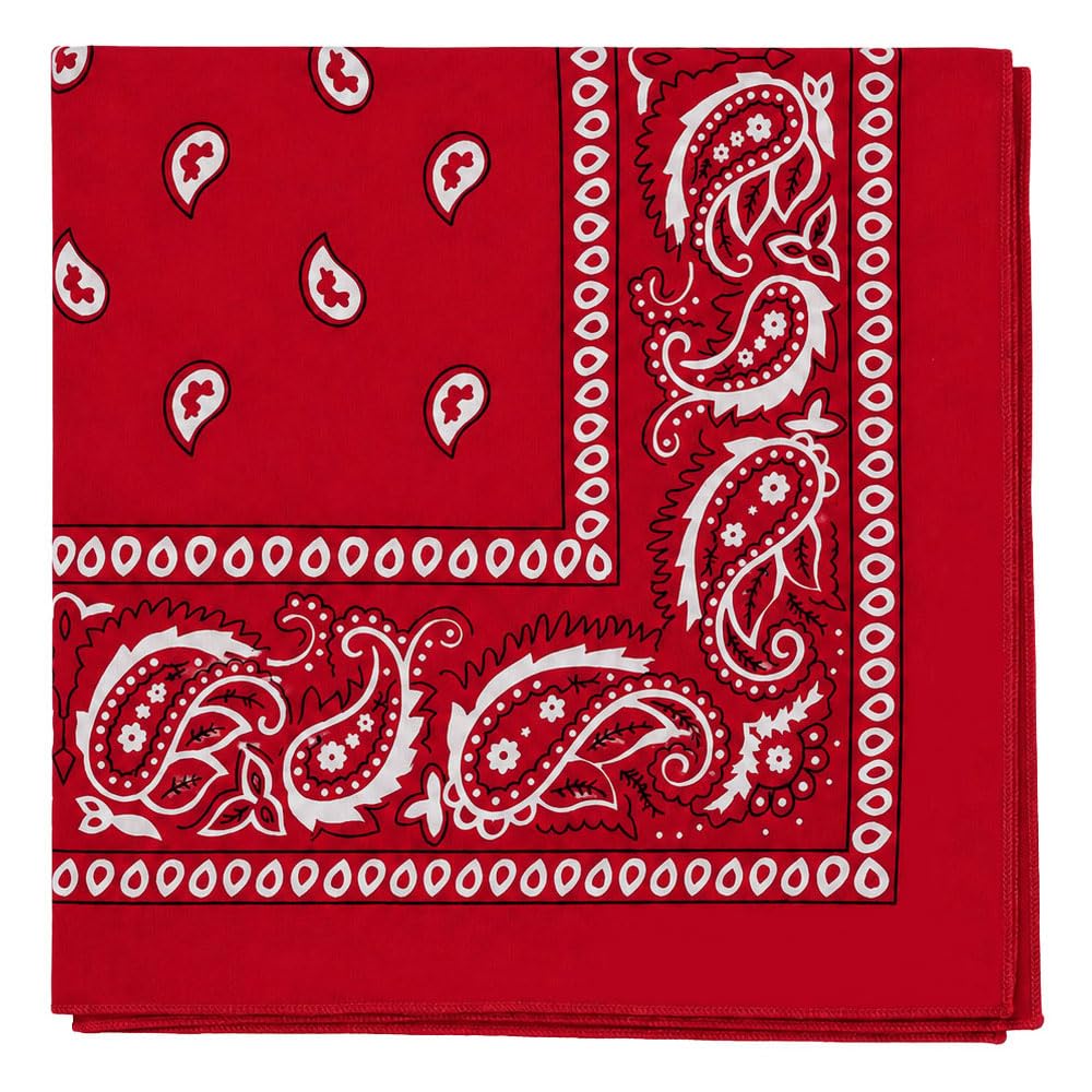 Motique Accessories Extra Large Paisley Bandana 27x27 Inch