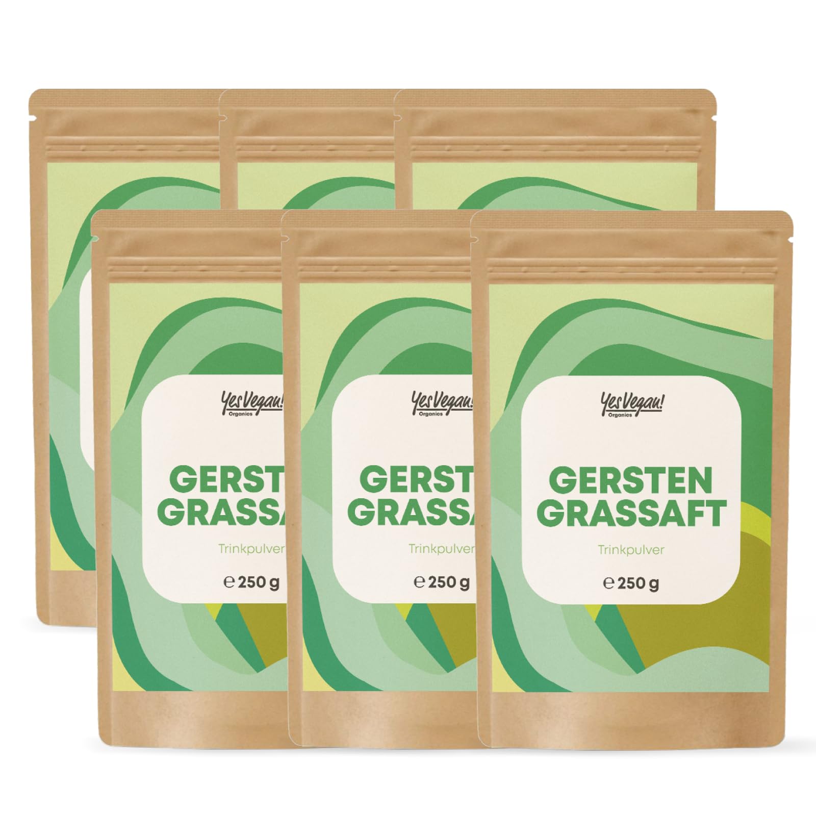 Gerstengrassaft Pulver - 250 g (XL Packung) - aus Kansas USA, abgefüllt in Bayern I Gerstengras Pulver I DE-ÖKO-001 (6 x 250g)