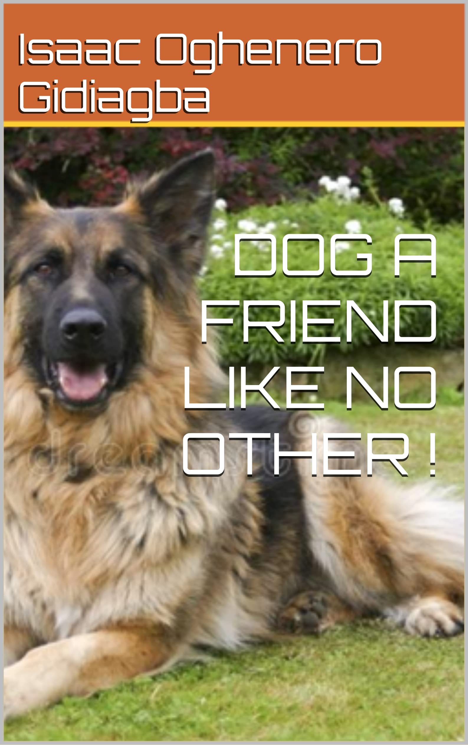 DOG A FRIEND LIKE NO OTHER !