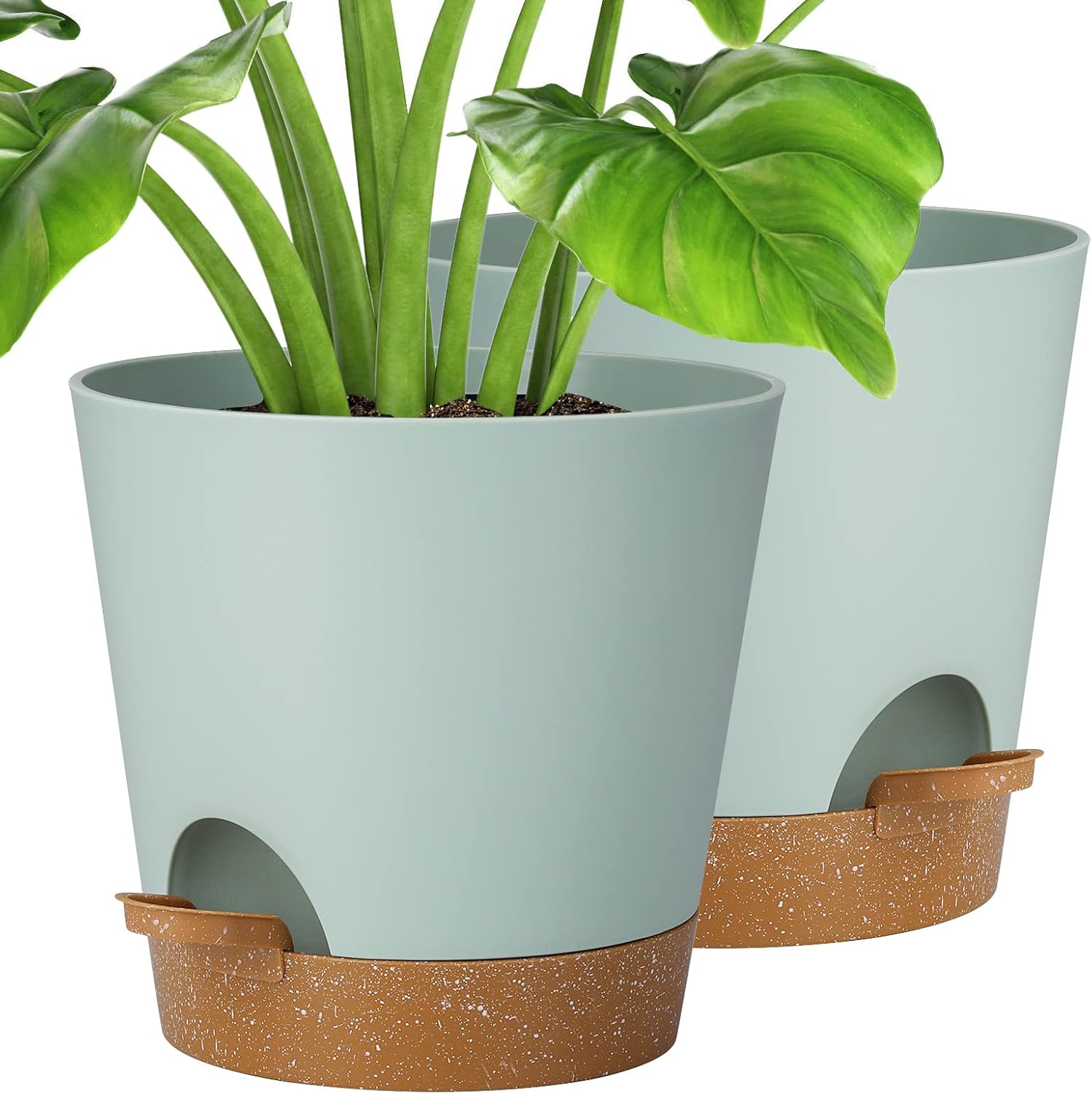 Self Watering Planters 8 Inch, Plant Pots with 500 mL Removable