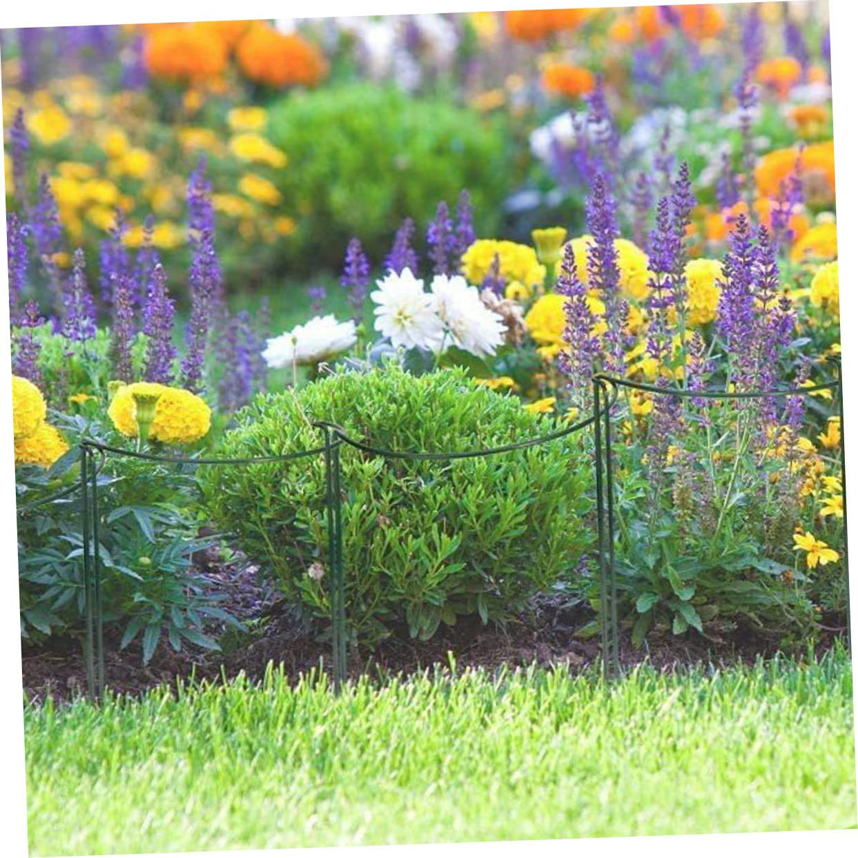 Toyvian Tuteur de Support pour Plantes Demi-Rond 6 Pièces en Fer Vert
