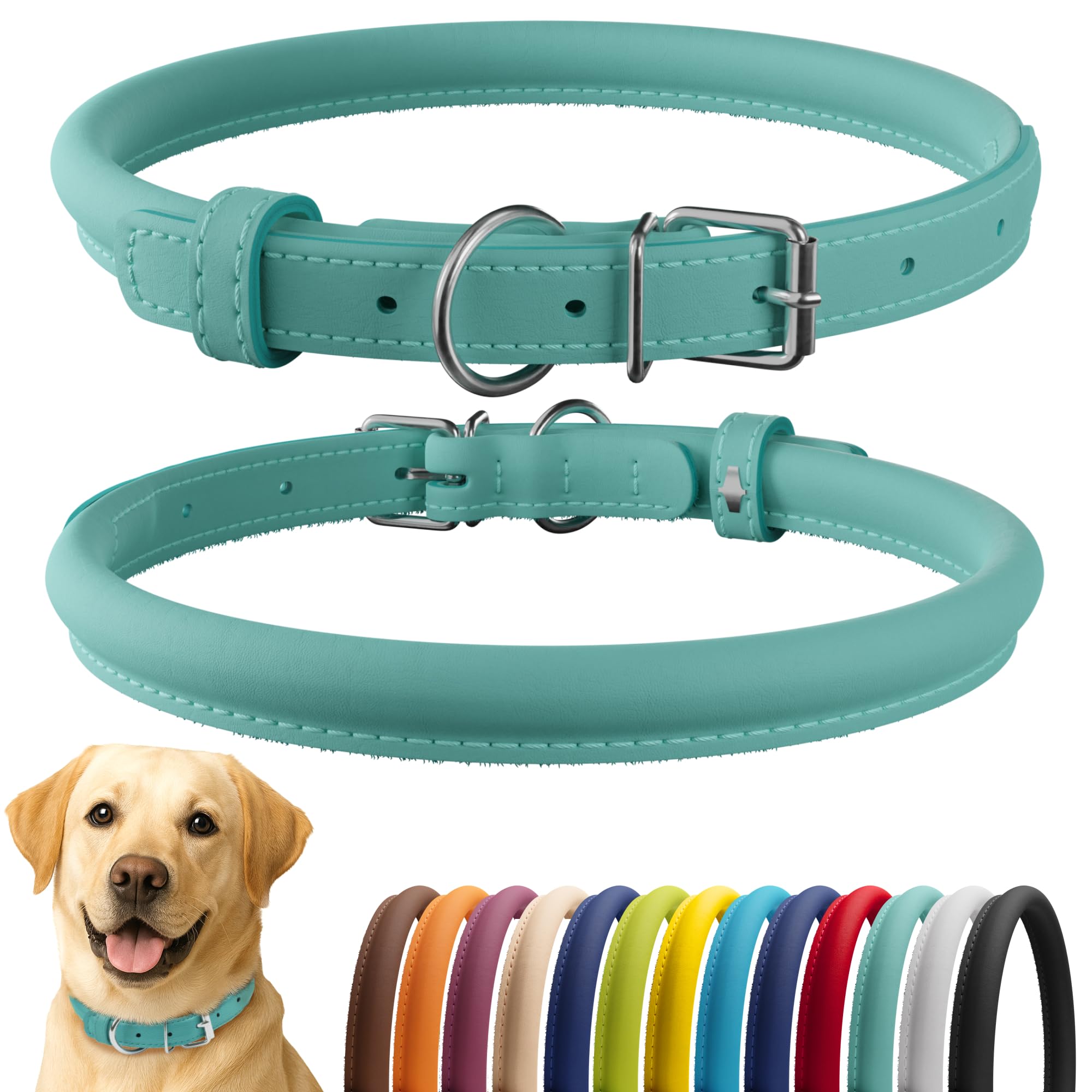 CollarDirect Rolled Leather Dog Collar, Soft Padded Round Puppy Collar, Handmade Genuine Leather Collar Dog Small Large Cat Collars 13 Colors (15-19 Inch, Mint Green Smooth)