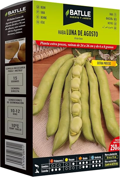 Puffbohnen Samen Batlle - Haba Luna de Agosto (250g) - 1