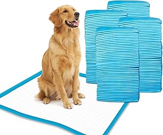 dog training mats