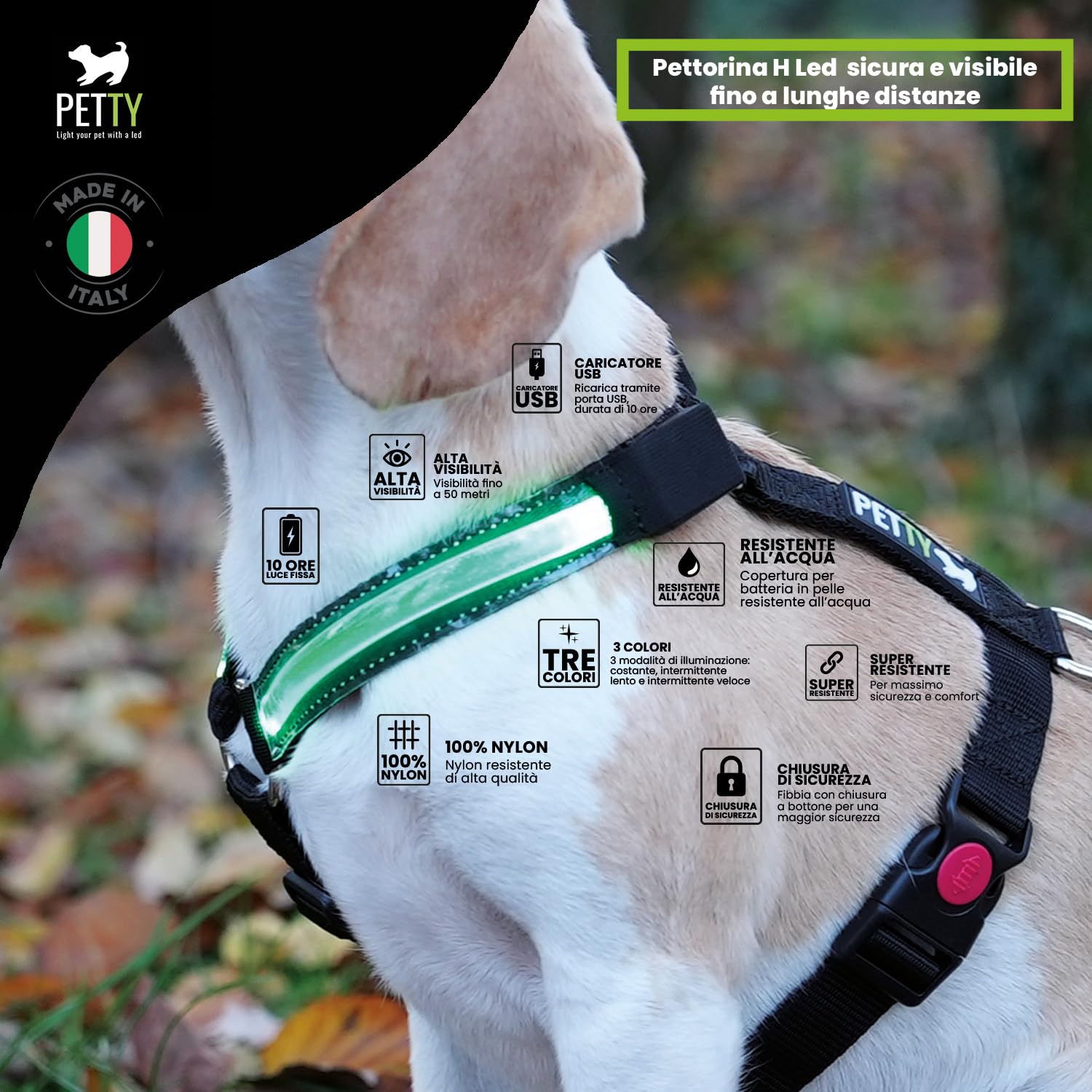 Pettorina Cane LED Ricaricabile PETTY - Imbracatura Antistrappo, Luci Fino A 500m, Taglia XXXS, Verde - Foto 6