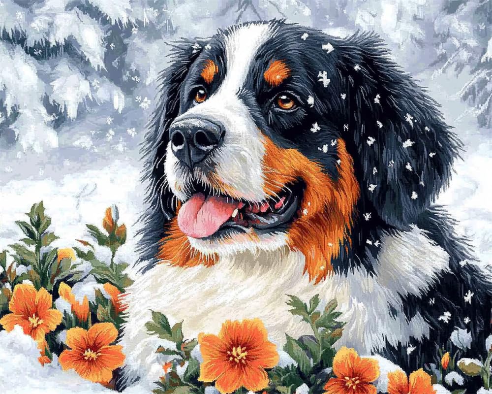 Kitquiver Latch Hook Rug Kits for Adults Beginners Bernese Mountain Dog and