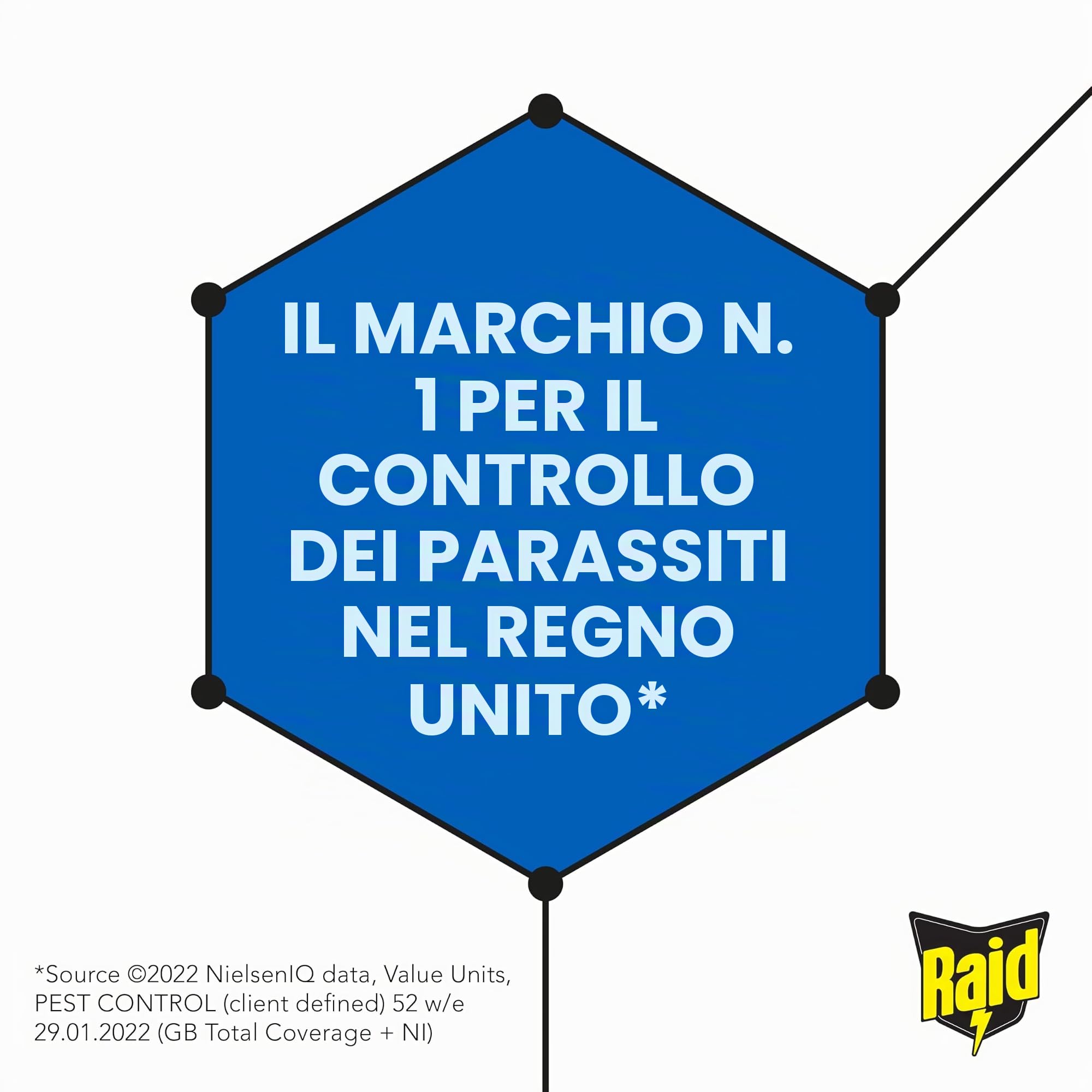 Raid Esca per formiche, a lunga durata, per interni ed esterni, distrugge i nidi, confezione da 12