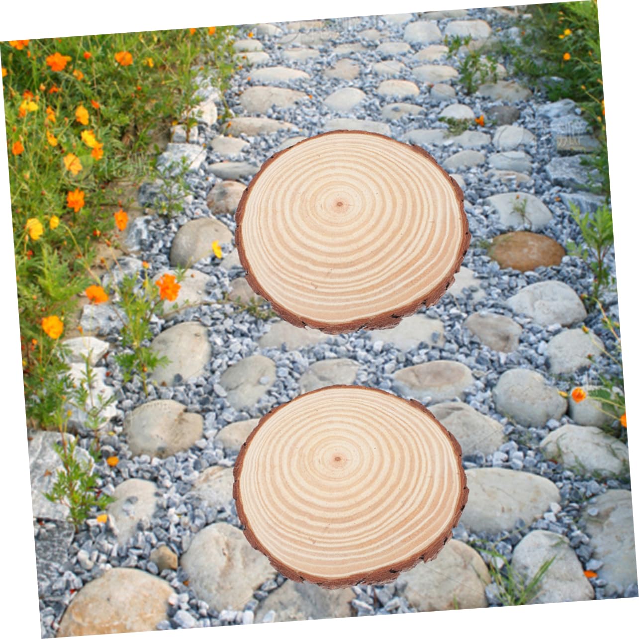 2pcs Garden Stepping Stones Outdoor for Outside Garden Pathway Walkway