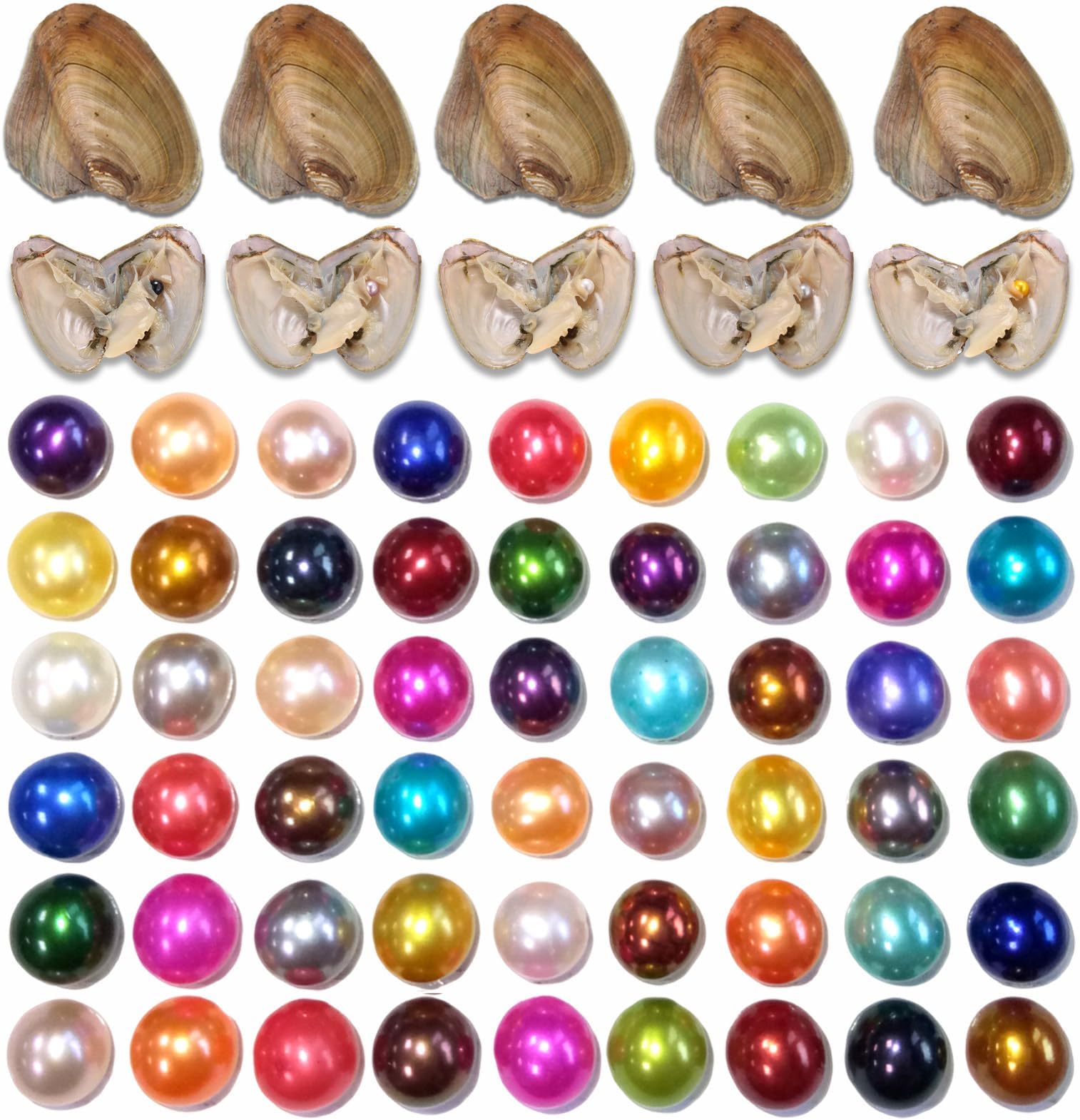 50PC Oyster with Round Pearl Inside Meaningful Color Freshwater Cultured Oyster Love Wish Pearls Beads for Jewelry Making Crafts Gifts(6-8mm, 50 PCS/Lot)