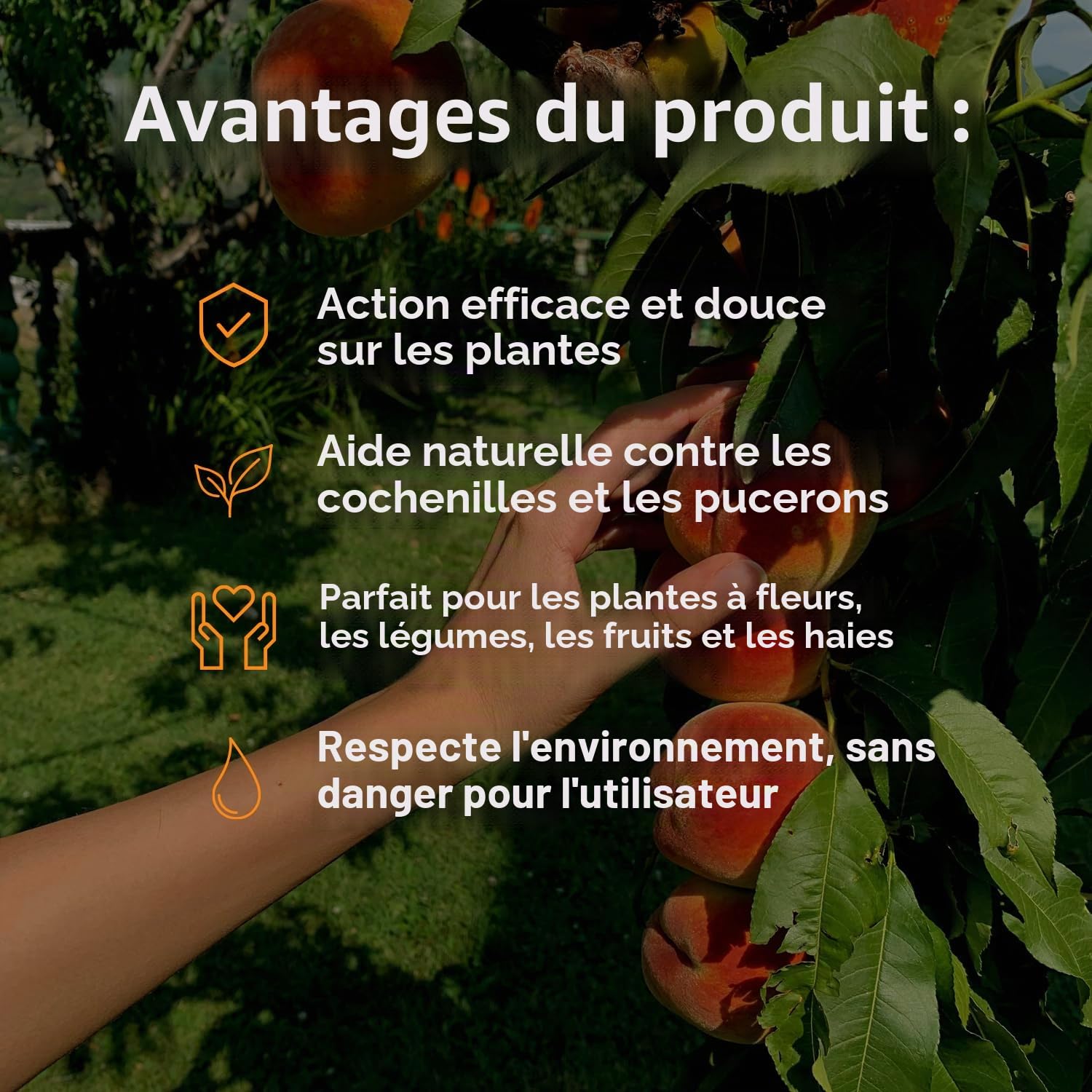 VEGETOL® huile végétale blanche pour insectes parasites (pucerons-cochenilles) liquide fortifiant CULTIVATION BIOLOGIQUE DE HAUTE QUALITÉ (0,5 Kg) (1)