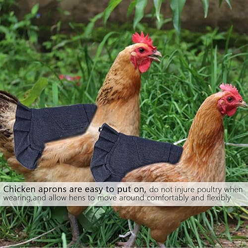 Miniatura 6 de JITEYOU Sillines de pollo, 4 piezas de monturas para gallinas para delantal de gallina para aves de corral protector de plumas fijador suministros