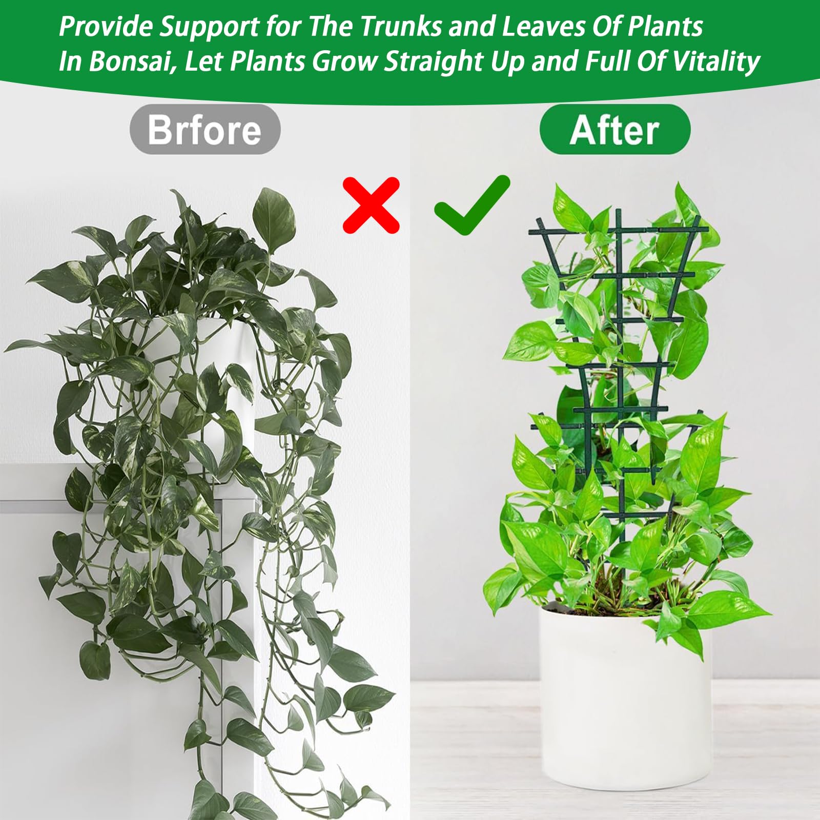 6 Rankgitter Für Pflanzen - Höhenverstellbare Rankhilfen Für Topf & Garten