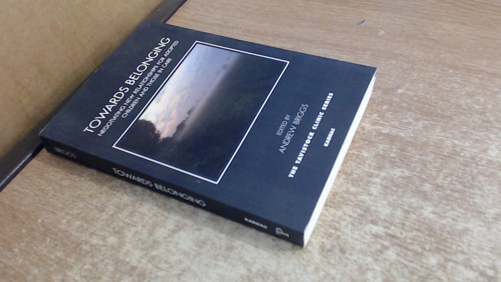 Towards Belonging: Negotiating New Relationships for Adopted Children and Those in Care (The Tavistock Clinic Series)