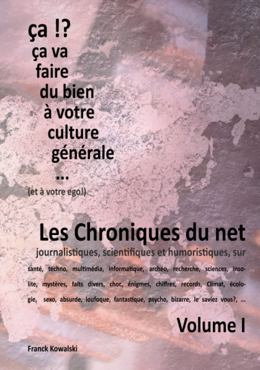 les chroniques du net --++-- Volume 1 Fr (French Edition)