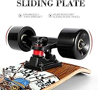 Vista 6 de Patineta completa para mascotas diseñada para perros y mascotas