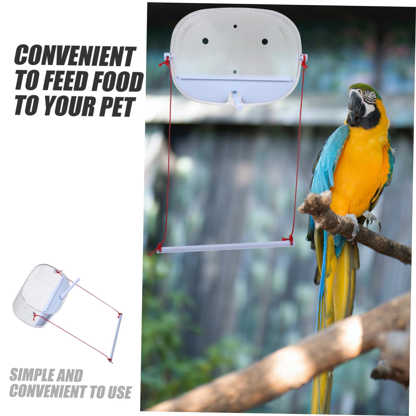 BESPORTBLE 4 Juegos Comedero para Pájaros Comedero para Jaula De Pájaros Ventosa del del Colibrí De La Ventana De Agua para para Loros con Lechón PD
