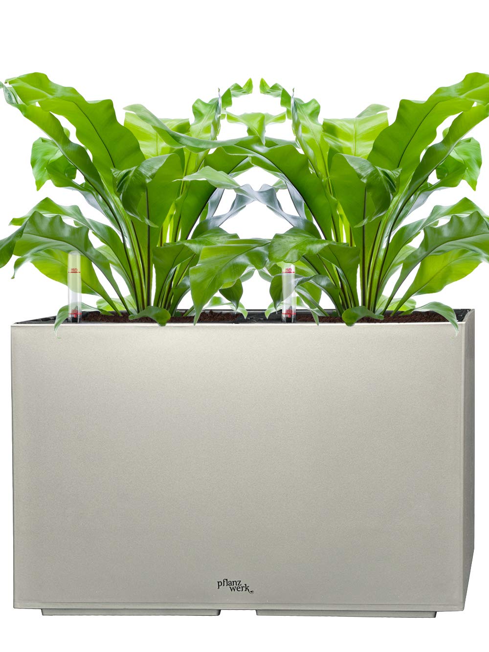 Pflanzwerk® ÖKOSYSTEM Donica na rośliny, z systemem nawadniania, 32 x 56 x 28 cm, szara, metalowa, do użytku wewnątrz i na zewnątrz, markowa jakość premium