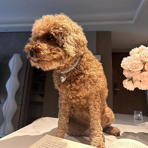 Miniatura 3 de Collar para mascotas con diamantes de imitación, collar brillante de 3 filas de diamantes de cristal, collar de boda con diamantes de imitación