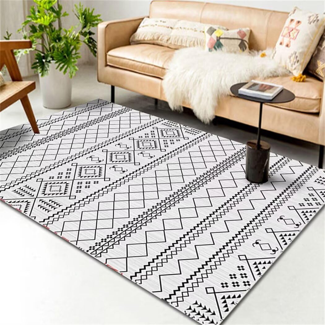 Tapis de Cuisine et Salon Anti-Peluches - Grand Tapis Doux 180X230cm