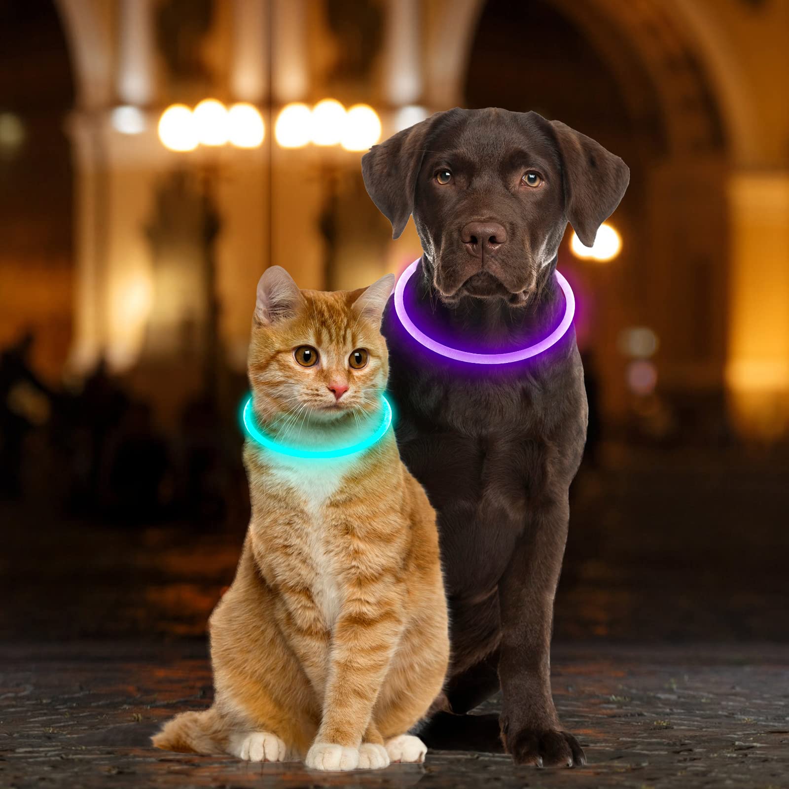 Collare per cani luminoso ricaricabile tramite USB, collare per cani a LED per sicurezza notturna, collare per cani in TPU tagliabile, che si illumina al buio, per cani di taglia piccola, media e