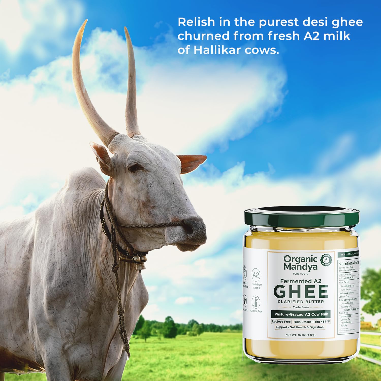 A2 Desi Ghee 大容量452g　A2ミルク ギー ビローナ製法 Amazon.com : A2 Desi Grass-Fed Ghee Clarified Butter, Pasture