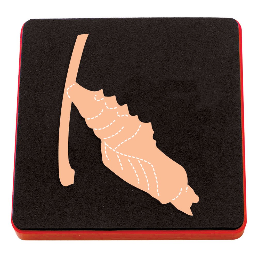 Amazon.com: Sizzix Bigz Die – a10706, Cocoon/Chrysalis : Arte y